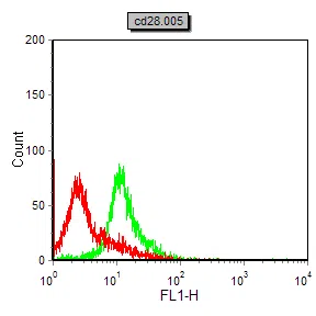 CD28 Mouse Monoclonal Antibody - Size: 100µl