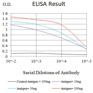 ATP Mouse Monoclonal Antibody - Size: 50µl