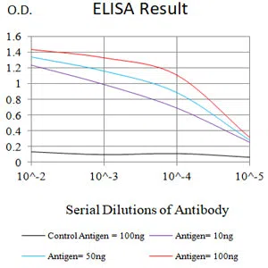 ATP Mouse Monoclonal Antibody - Size: 100µl