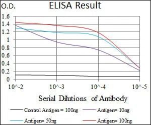 CDH5 Mouse Monoclonal Antibody - Size: 100µl