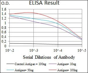 NES Mouse Monoclonal Antibody - Size: 100µl