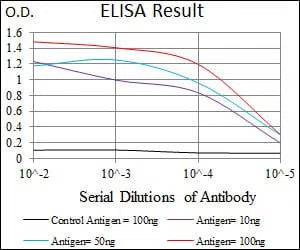 MAP1LC3A Mouse Monoclonal Antibody - Size: 100µl