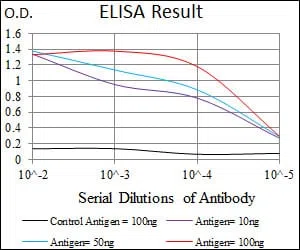 DCTN4 Mouse Monoclonal Antibody - Size: 100µl