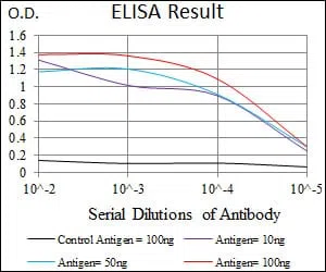 CLGN Mouse Monoclonal Antibody - Size: 50µl
