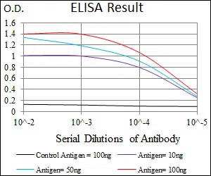 WHSC2 Mouse Monoclonal Antibody - Size: 50µl