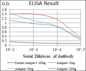 ABCG5 Mouse Monoclonal Antibody - Size: 100µl