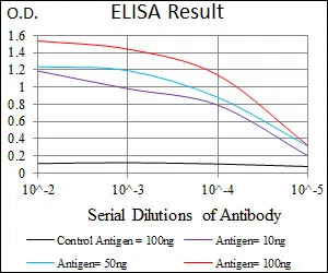 DNAL4 Mouse Monoclonal Antibody - Size: 50µl