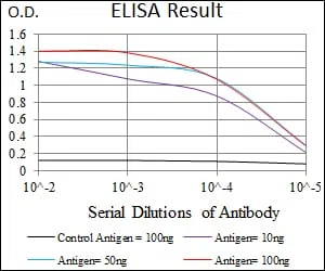 MRPL42 Mouse Monoclonal Antibody - Size: 50µl
