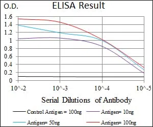 MRPL42 Mouse Monoclonal Antibody - Size: 100µl