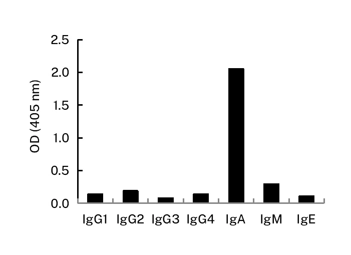 Human IgA Mouse Monoclonal Antibody - Size: 50µl