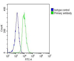 FGFR1OP2 Mouse Monoclonal Antibody - Size: 50µl